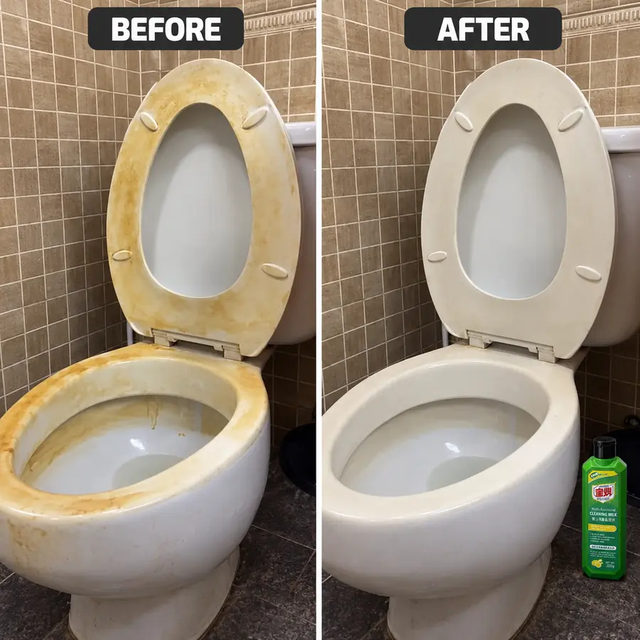 Toilet / Commode — before and after cleaning