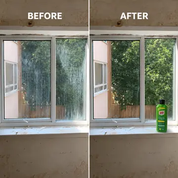 Window Glass — before and after cleaning